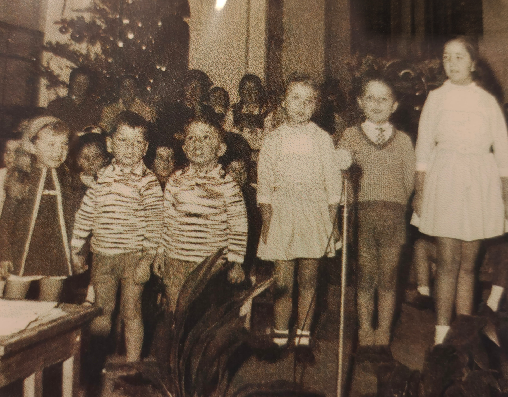 Un grupo de niños cantando ante un micrófono en una función navideña, con un árbol decorado al fondo.
